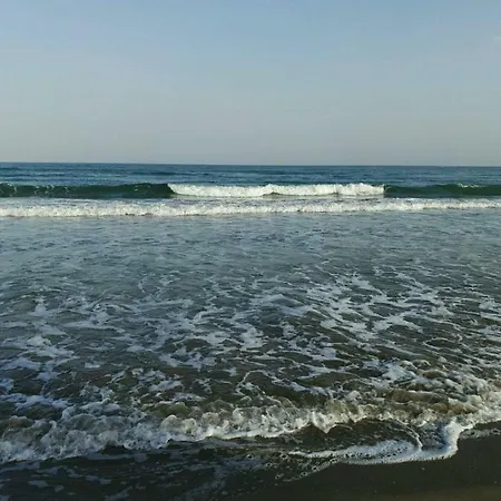Michalis By The Sea Αρτέμιδα